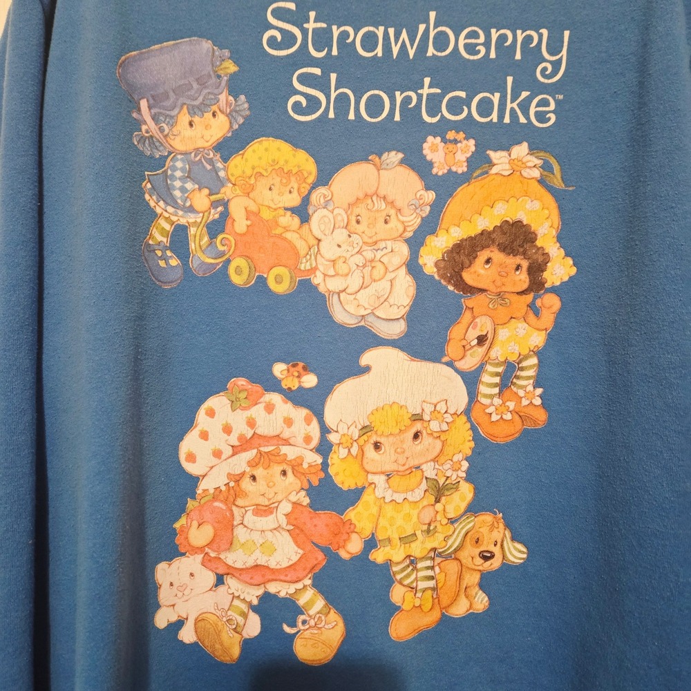 Strawberry Shortcake Graphic Sweatshirt Blue Crew Neck Sleeve Print MD - Picture 3 of 6